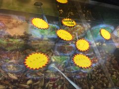 -炉鼎记私房菜(总店)