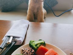 -上海崇明金茂凯悦酒店