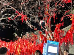 -泰山风景名胜区