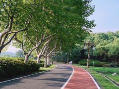-宜兴龙背山森林公园