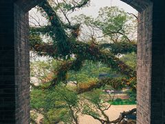 -江心屿景区