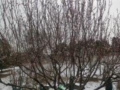 -北京西山国家森林公园