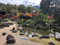 -醍醐寺