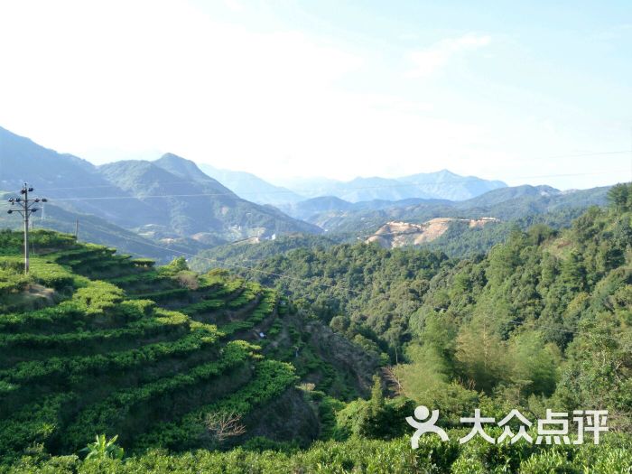 水坑原始森林图片 - 第15张