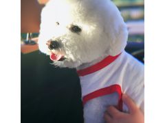 -Goku PET SHOP宠物视觉生活馆(双井店)
