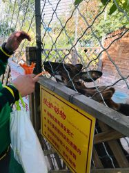 -萌宠亲子动物乐园(槐房万达店)