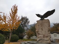 -北京鹫峰国家森林公园