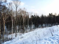 -长白山万达国际滑雪场