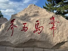 -养马岛旅游度假区