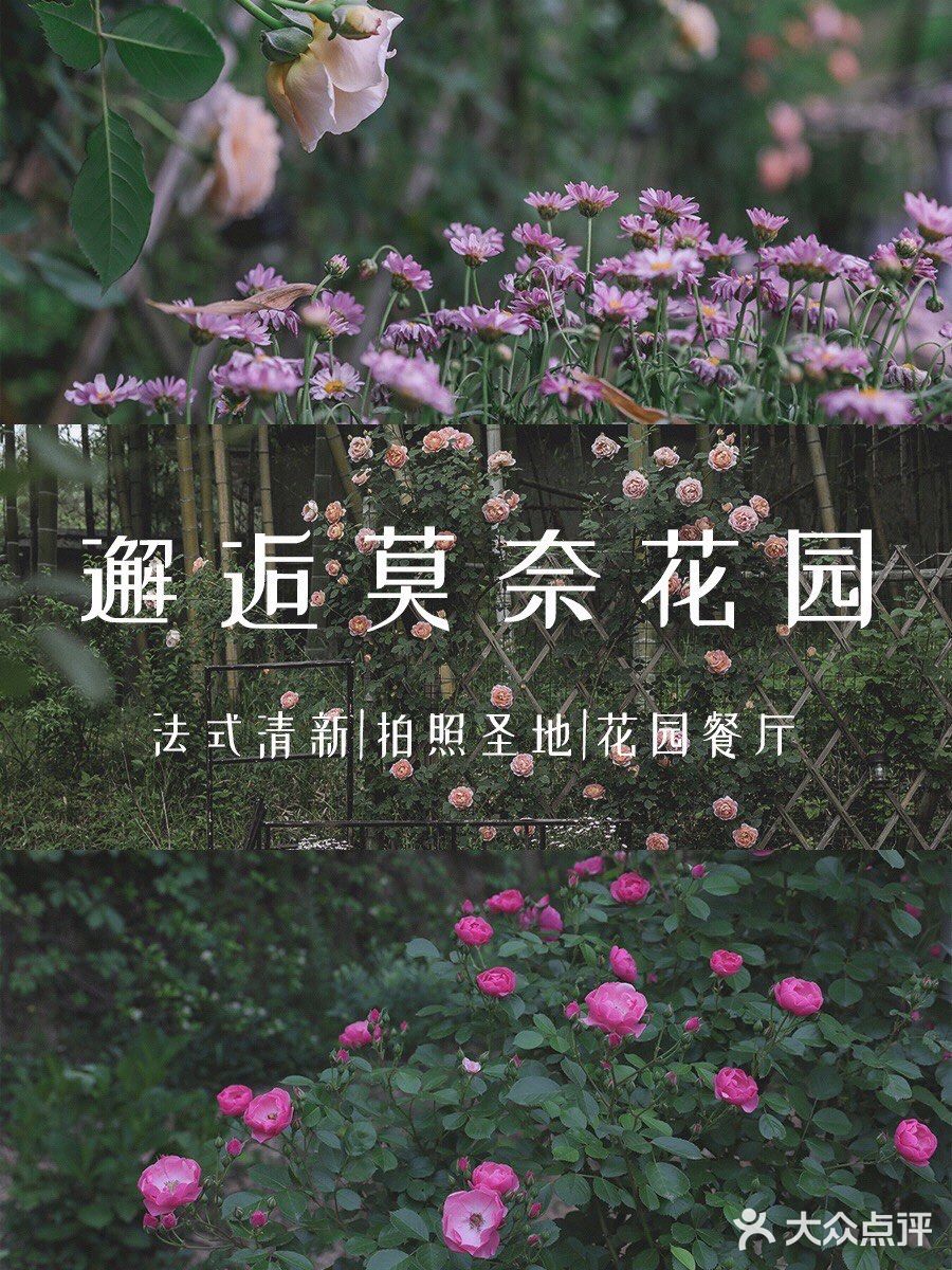 莫干山仙女必打卡💐莫奈的“秘密”花园