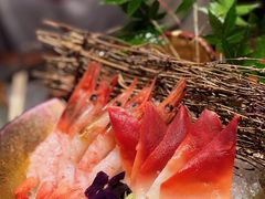 -Hi City·城市之巅