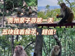 -黔灵山公园