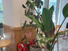 -Blueglass酸奶(财富购物中心店)