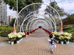-石排湾郊野公园
