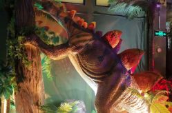 -恐龙探索乐园(磁器口店)