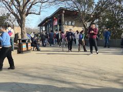 -紫金山山顶公园