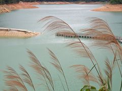 -广州市流溪河国家森林公园