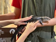 -帕帕拉兹宠物(亚洲旗舰店)