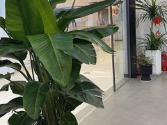 -雲己推拿院·养生SPA(江北龙湖天街店)