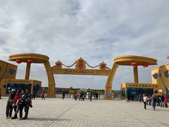 -金塔沙漠胡杨林景区