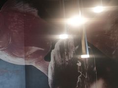 -老板恋上鱼(印象城店)