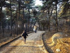 -沈阳辉山风景区