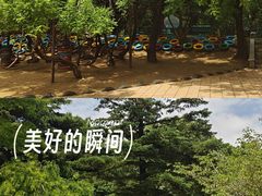 -大连植物园