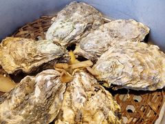 -千岛蚝高压锅生蚝·人参火锅(白云万达店)