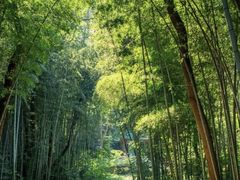 -青龙山国家森林公园