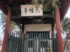-莲池书院博物馆