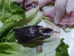 -金砂阿洲鱼册店