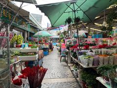-曲阳花鸟市场(曲阳路店)