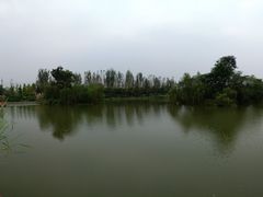 -白鹭湾湿地公园