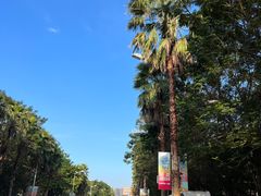 -亚龙湾站
