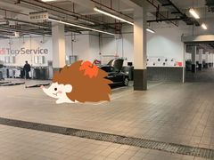 -青岛奥泽奥迪4S店(黄岛店)
