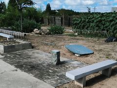 -南汇新场正宗水蜜桃采摘