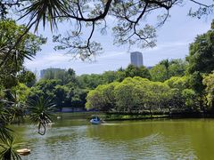 -晓港公园