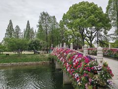 -苏州上方山国家森林公园