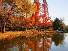 -国家植物园南园