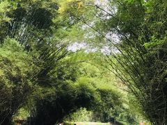 -红山村