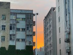 -光明刘冰乳鸽店(光明法政北路店)