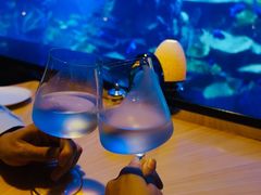 -迪拜帆船酒店海底餐厅