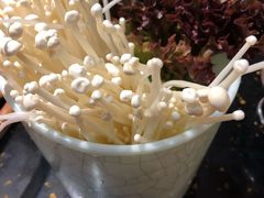 -成都老码头火锅(旺角店)