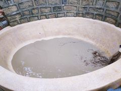 -100蛋泥浆浴