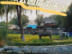 -三里河公园