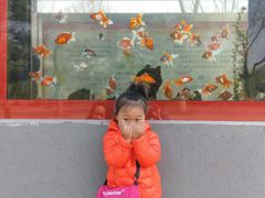 -石家庄市动物园