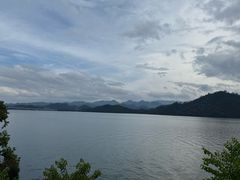 -浔味·山屿湖·正宗淳牌全鱼宴老字号