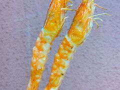 -烤五行·烧烤烤串(石佛营店)