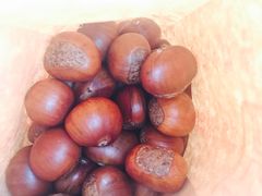 -秋栗香(地安门店)