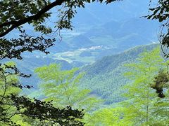 -莫干山风景区